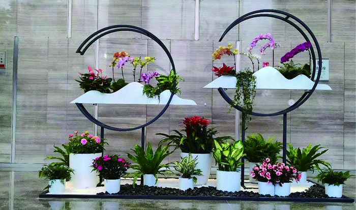 室內租賃組合花箱